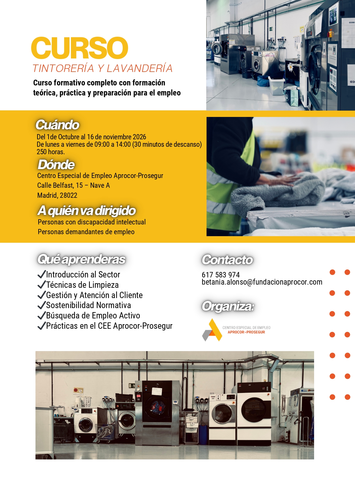 Cartel informativo del curso de Tintorería y Lavandería